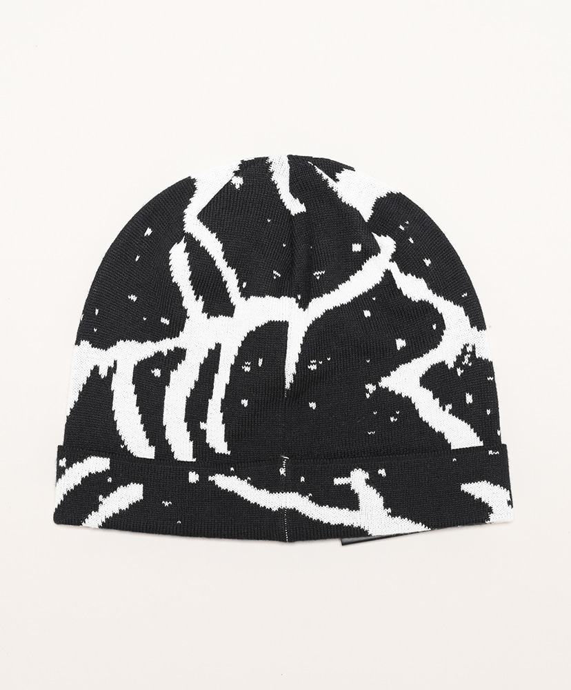 Lightweight Grotto Toque(FREE Orca/オルカ): ARC'TERYX