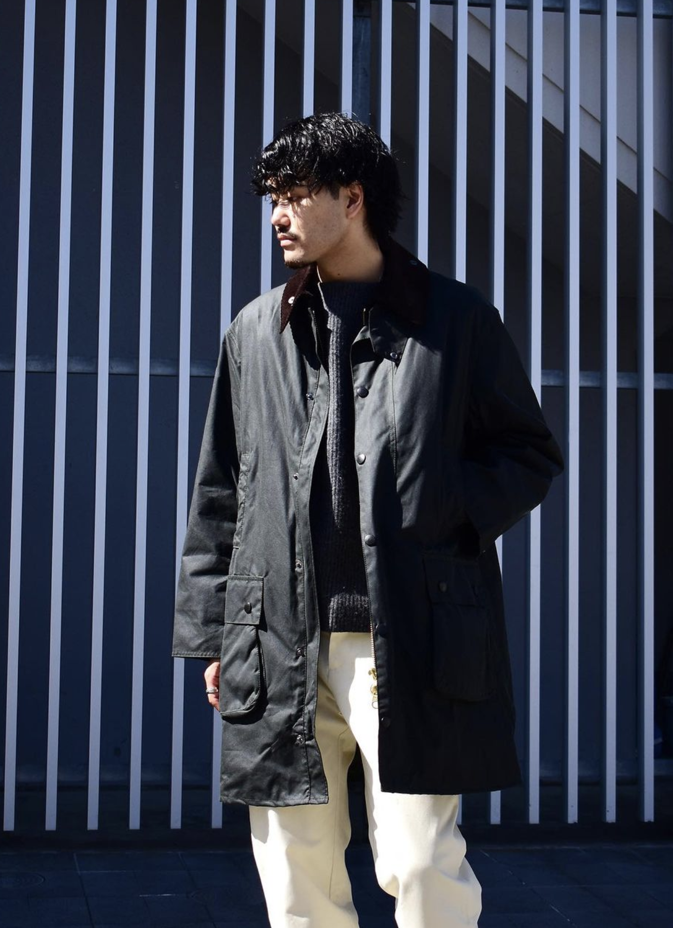 BARBOUR BORDER SAGE バブアー ボーダー セージ 36 | chidori.co