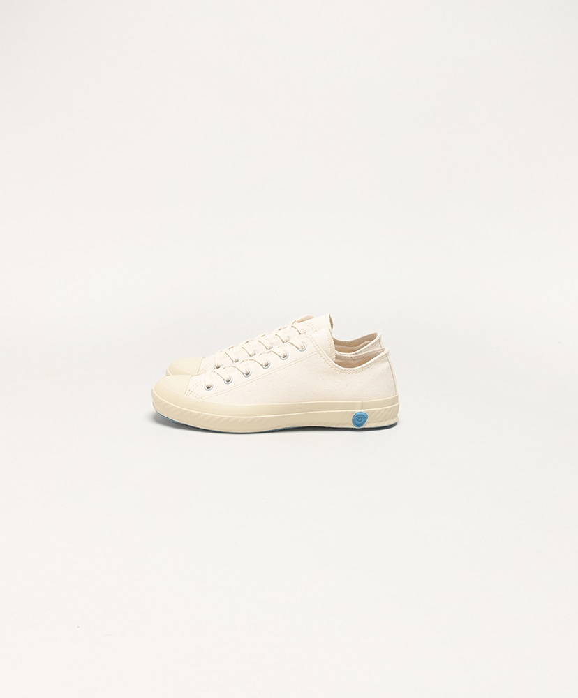 White/ホワイト