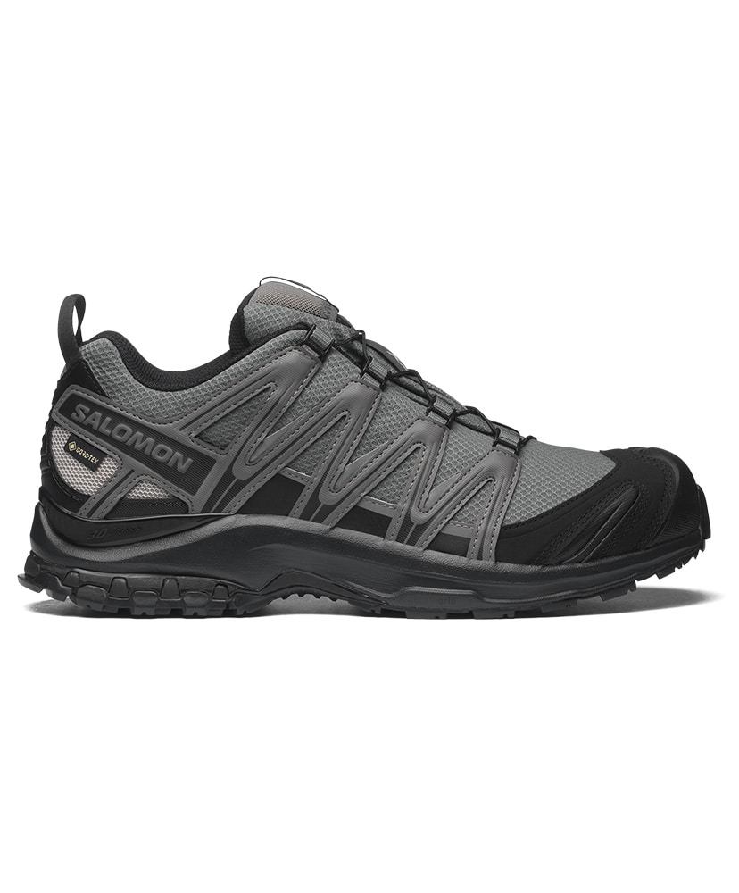 XA PRO 3D GTX(25.5cm Pewter×Black×Silver Cloud): Salomon