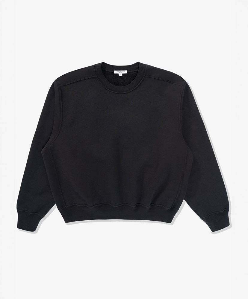 【新品】Any Crew True Black Lサイズ Mini Crewneck(L(MEN) Anthracite/アンスラサイト): LADY WHITE CO.