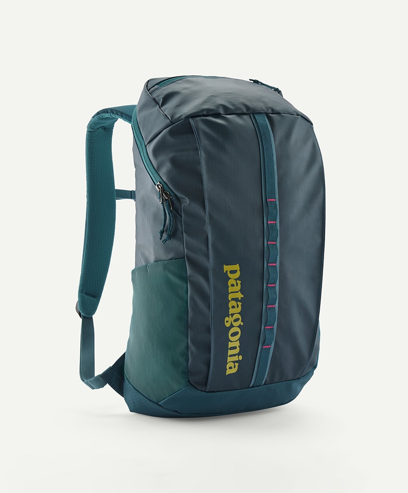 Black Hole Pack 25L(ALL BKPL/ブリスクパープル): Patagonia