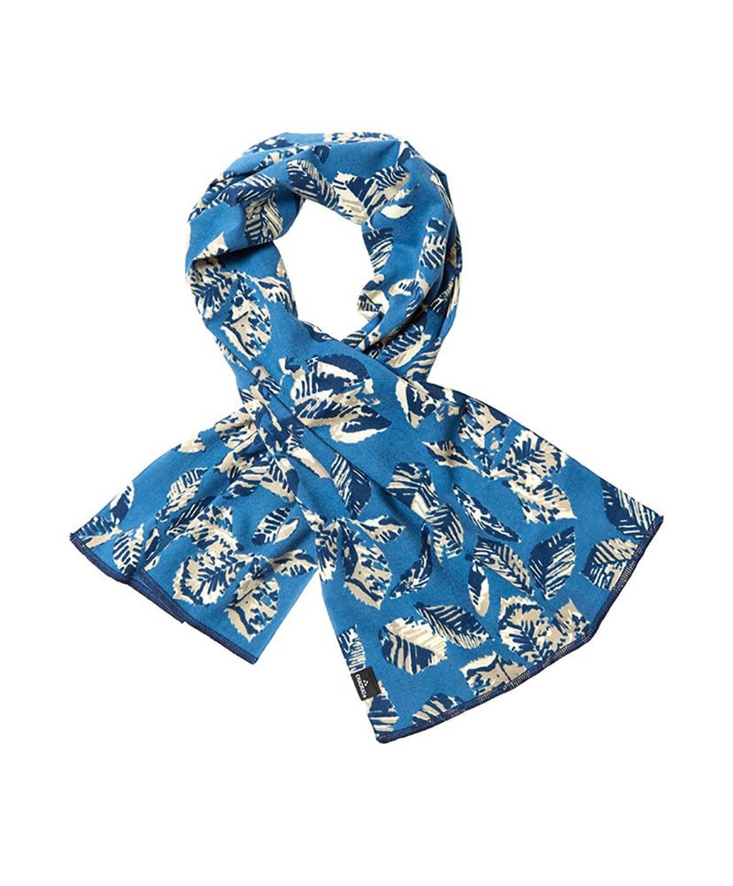 ブナ & ミズナラ