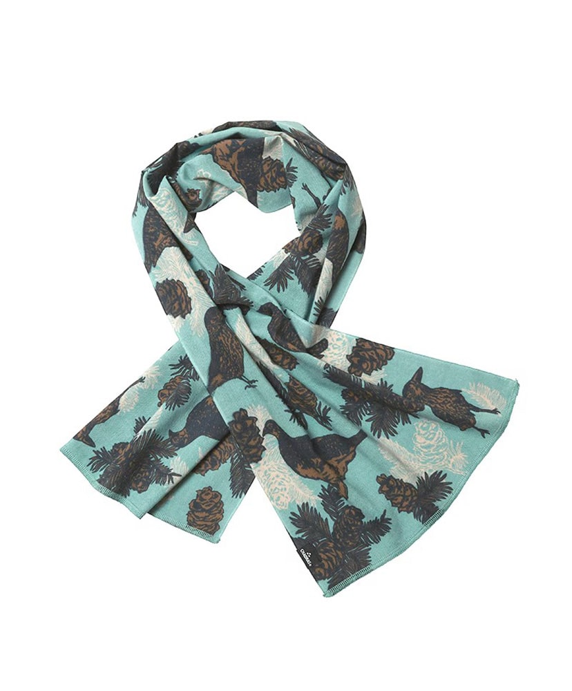 ライチョウ＆ホシガラス