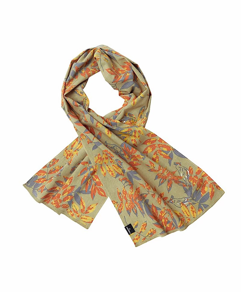 ナナカマド＆レンジャク