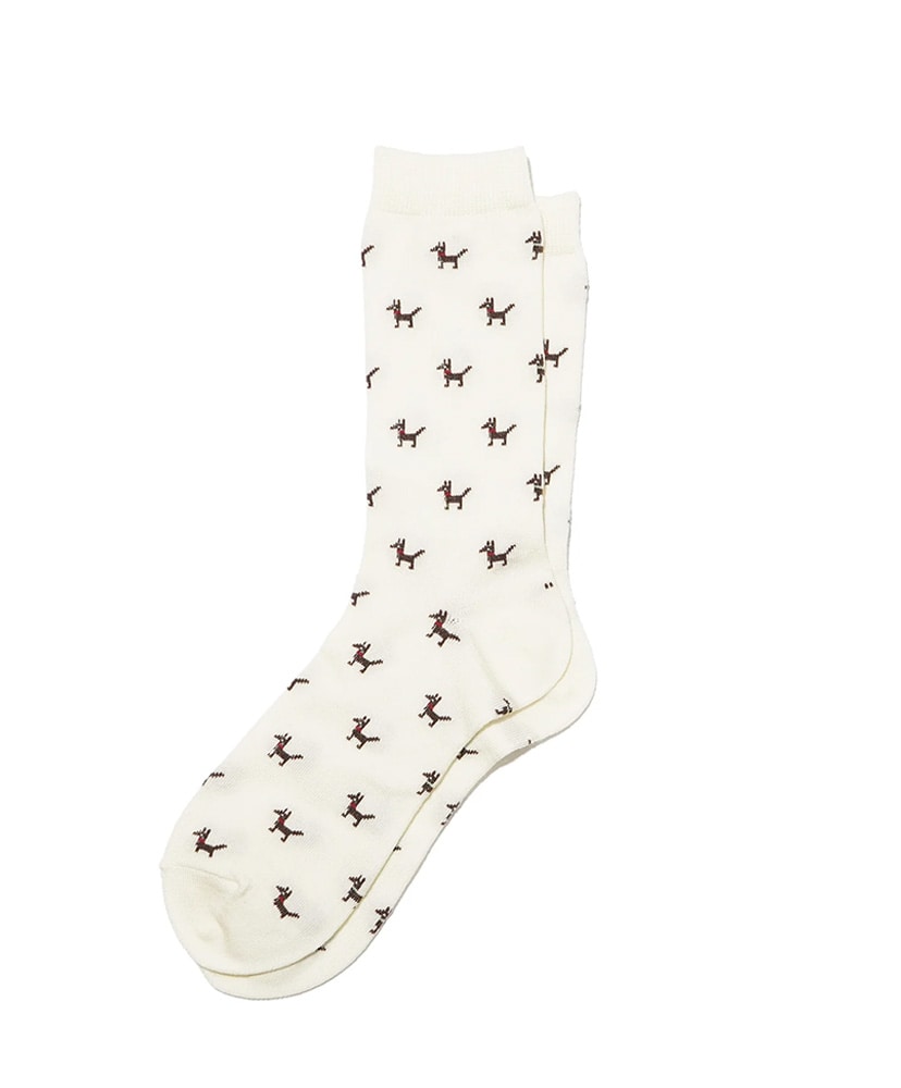 Ivory/アイボリー