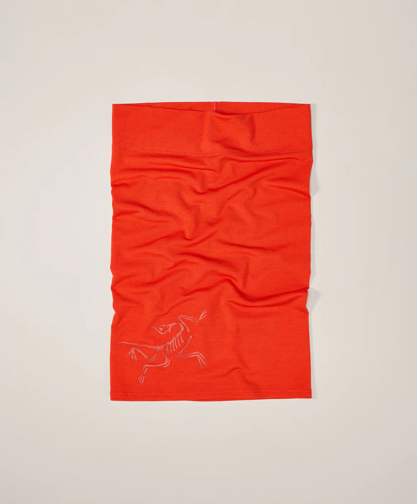 Dynasty/ダイナスティー