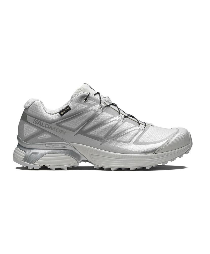 XT-PATHWAY GORE-TEX(23cm Luna Rock×Alloy×FTW Silver): Salomon