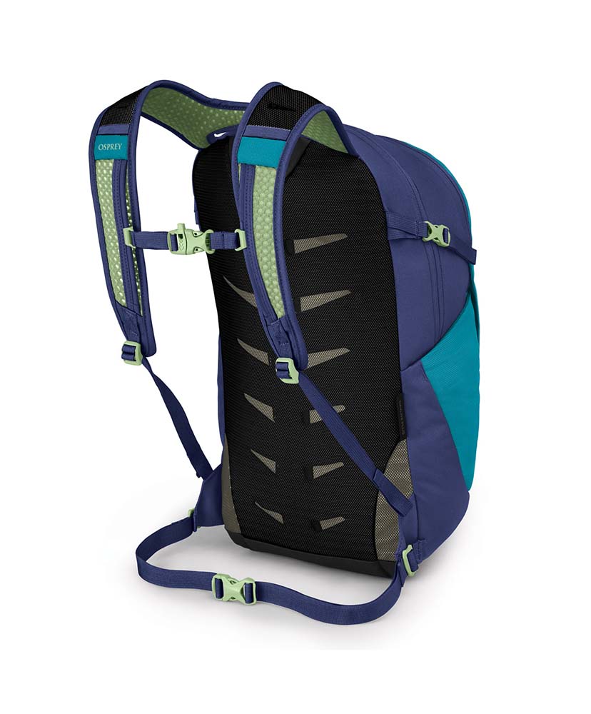 Daylight Plus Blue Spiked Moss×Alkaline/ブルースパイクモス×アルカライン ONE