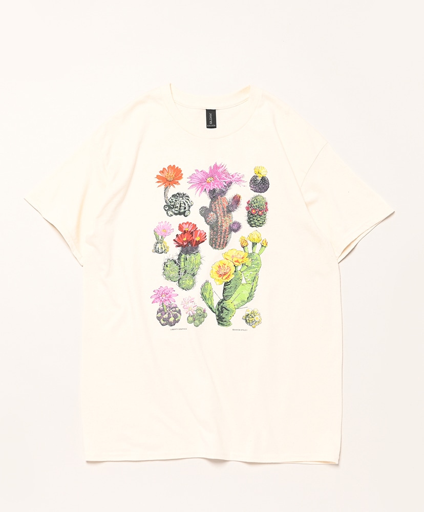 Natural/ナチュラル