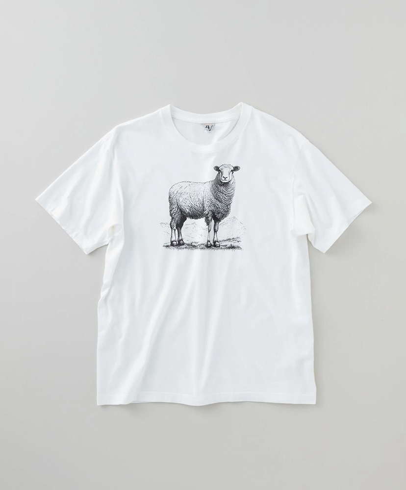MILES-SHEEP(2(WOMEN) Old Melange/オールドメランジ): FilMelange MILES-SHEEP(2(WOMEN) Old Melange/オールドメランジ): FilMelange