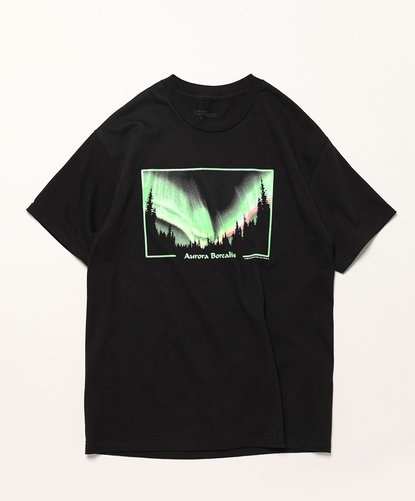 Aurora T-Shirt(L(MEN) Black/ブラック): Cotton Expressions