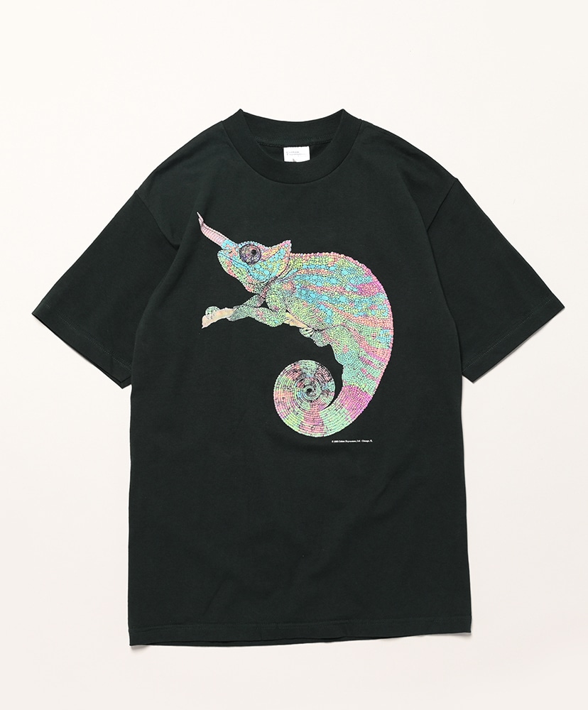 レア　希少　カメレオンズ　the chameleons Tシャツ Lサイズ 黒 レア 希少 カメレオンズ the chameleons Tシャツ Lサイズ 黒