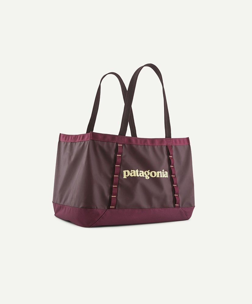 Black Hole Tote 25L(ALL BCW/バーチホワイト): Patagonia