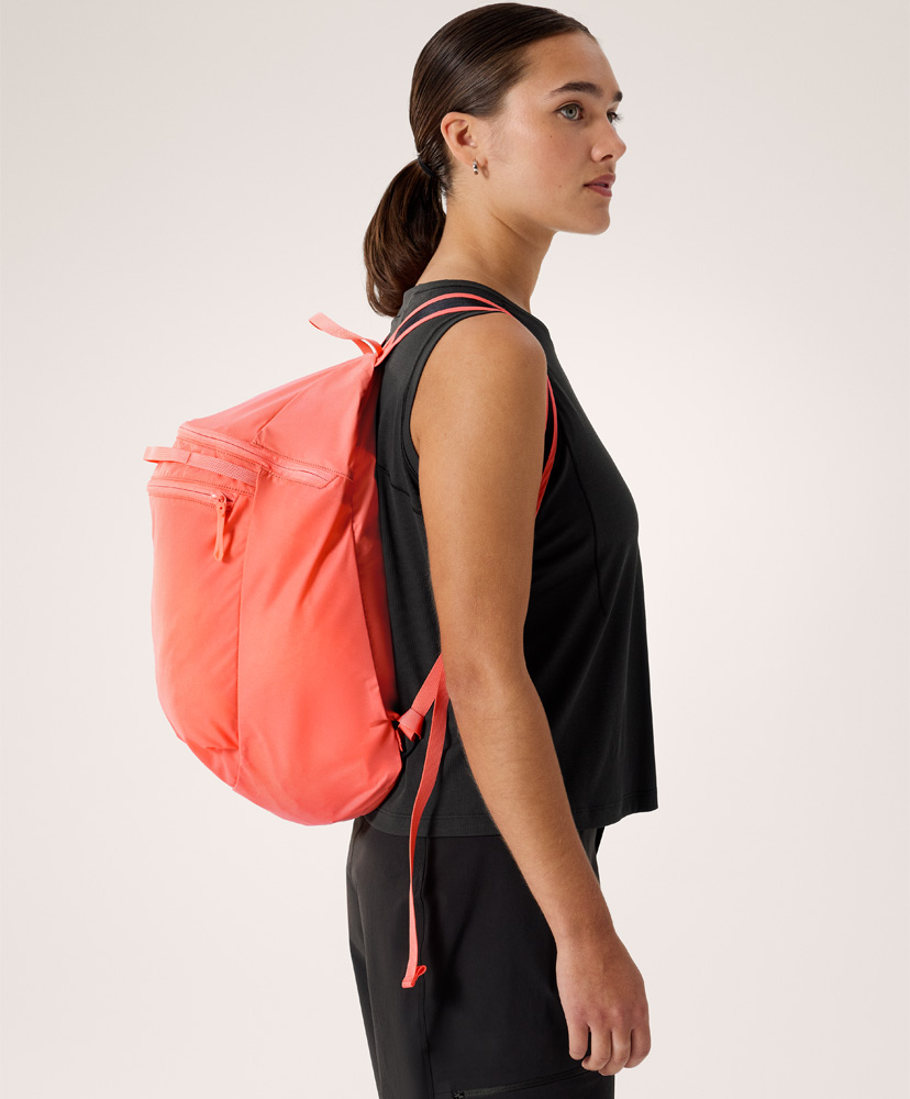 LOFTMAN別注 50th Heliad 15 Backpack Reef/リーフ ONE