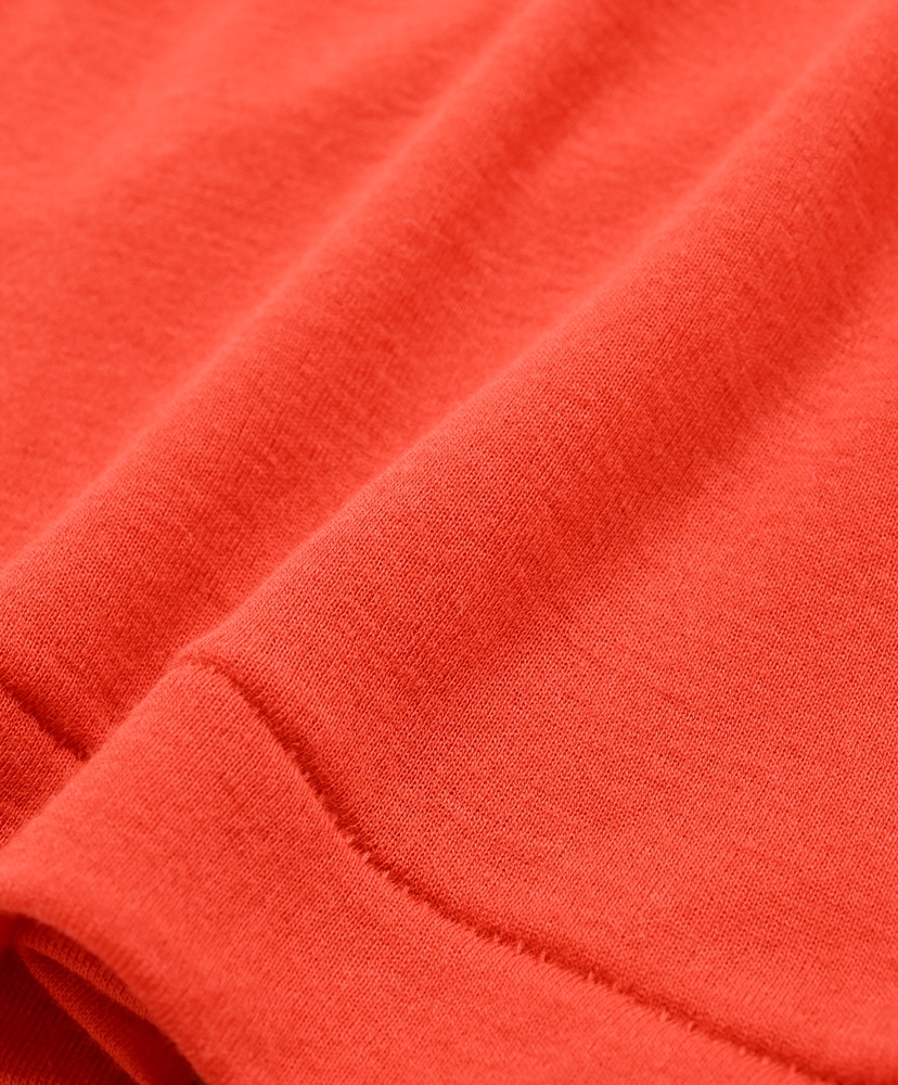 Super High Gauge Sheer Rib L/S Tee Red/レッド 1(WOMEN)