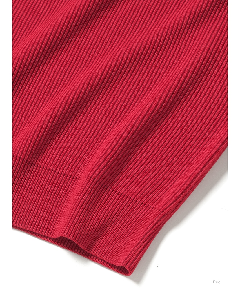 Solid Wool Rib Crew Neck Red/レッド 1(WOMEN)