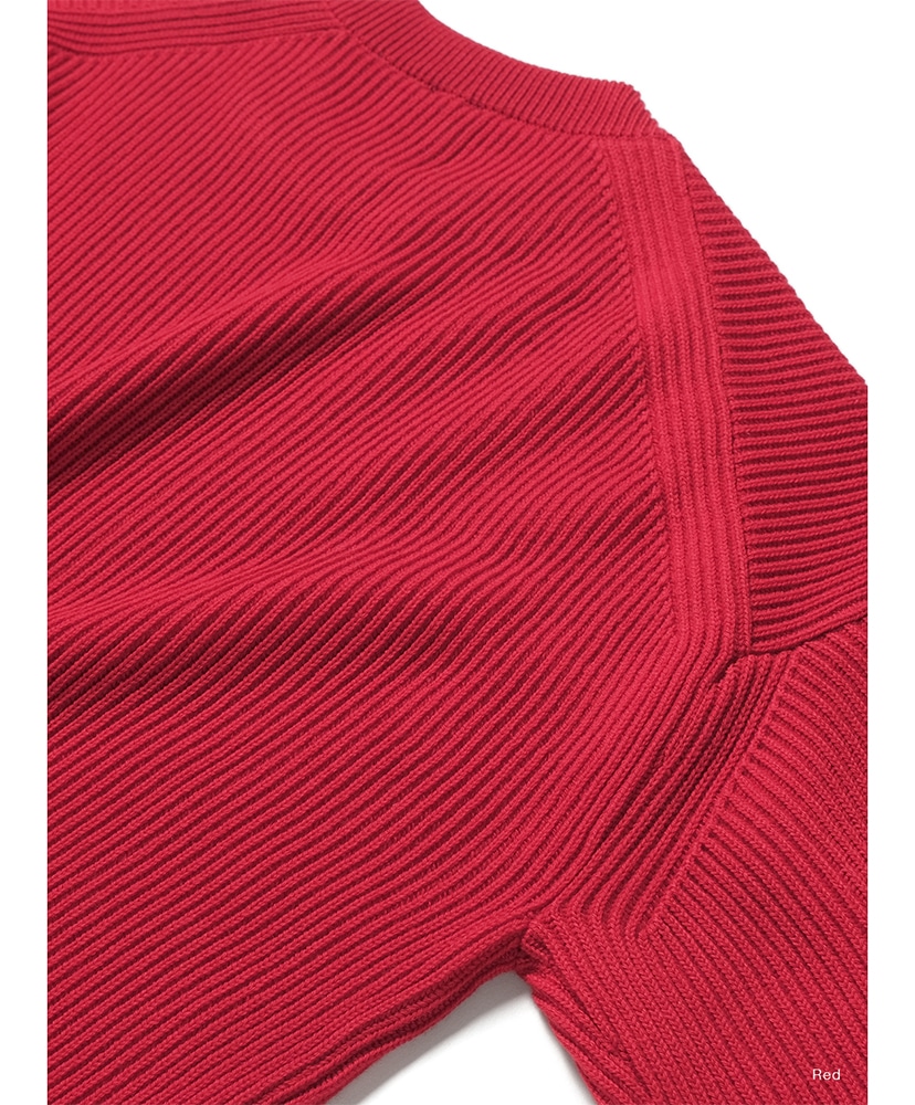 Solid Wool Rib Crew Neck Red/レッド 1(WOMEN)