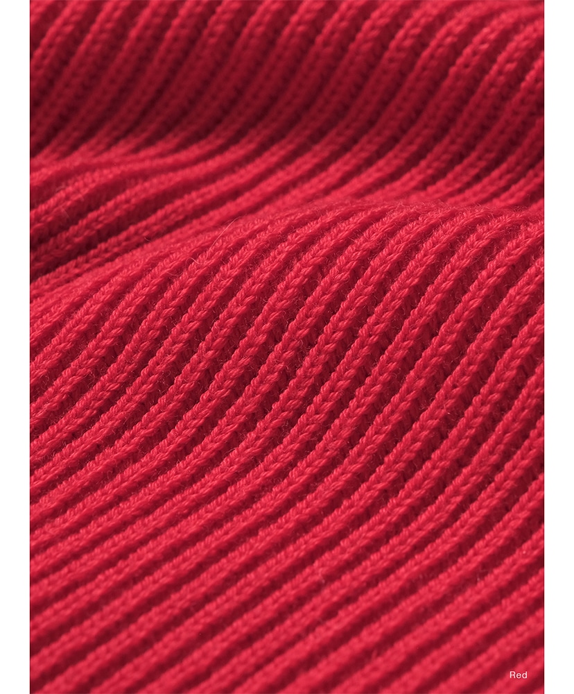Solid Wool Rib Crew Neck Red/レッド 1(WOMEN)