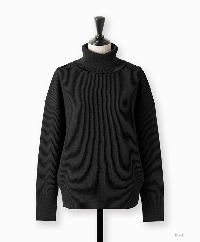Solid Wool Rib Off Turtle Black/ブラック 1(WOMEN)