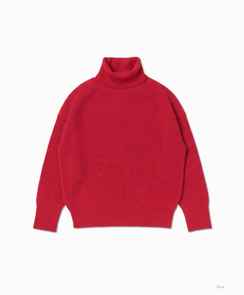 Solid Wool Rib Off Turtle(1(WOMEN) Black/ブラック): BATONER