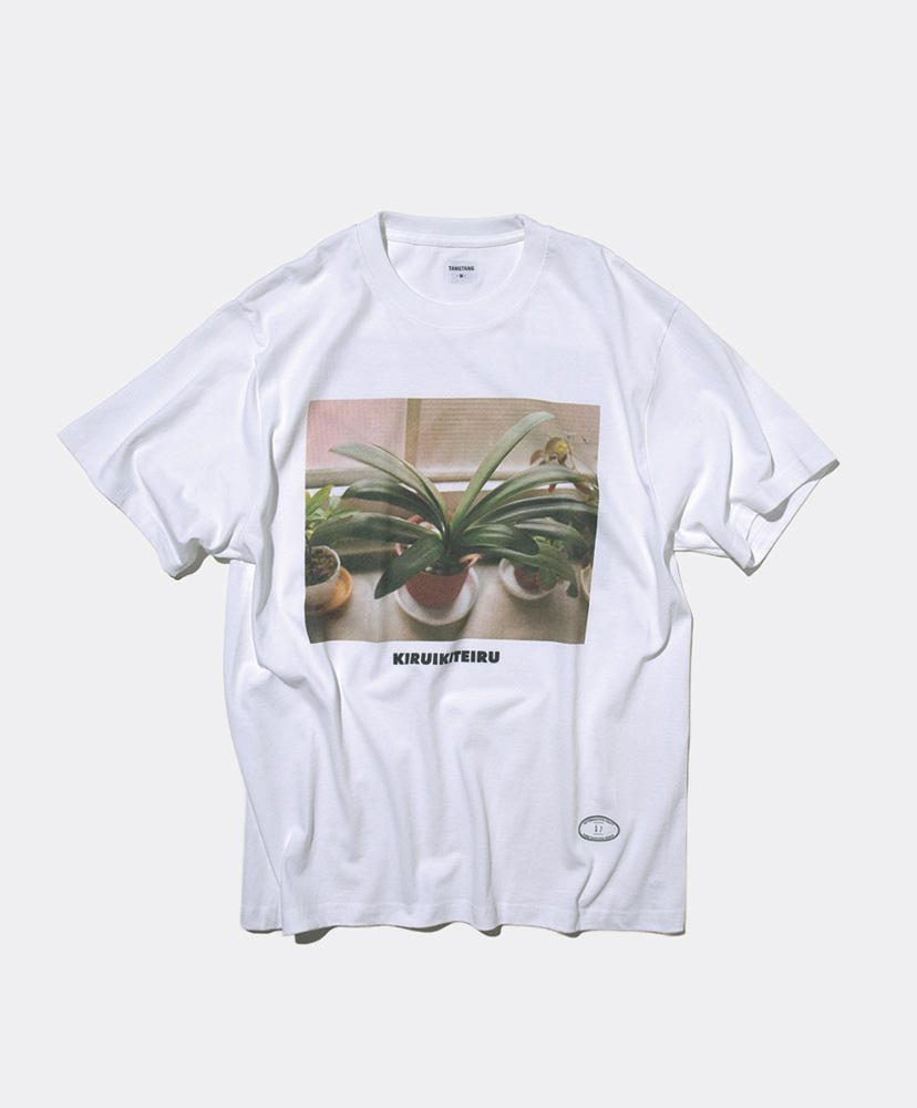 White/ホワイト