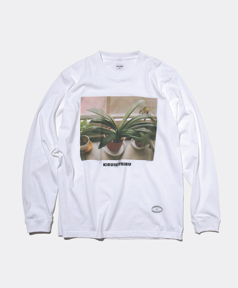 White/ホワイト