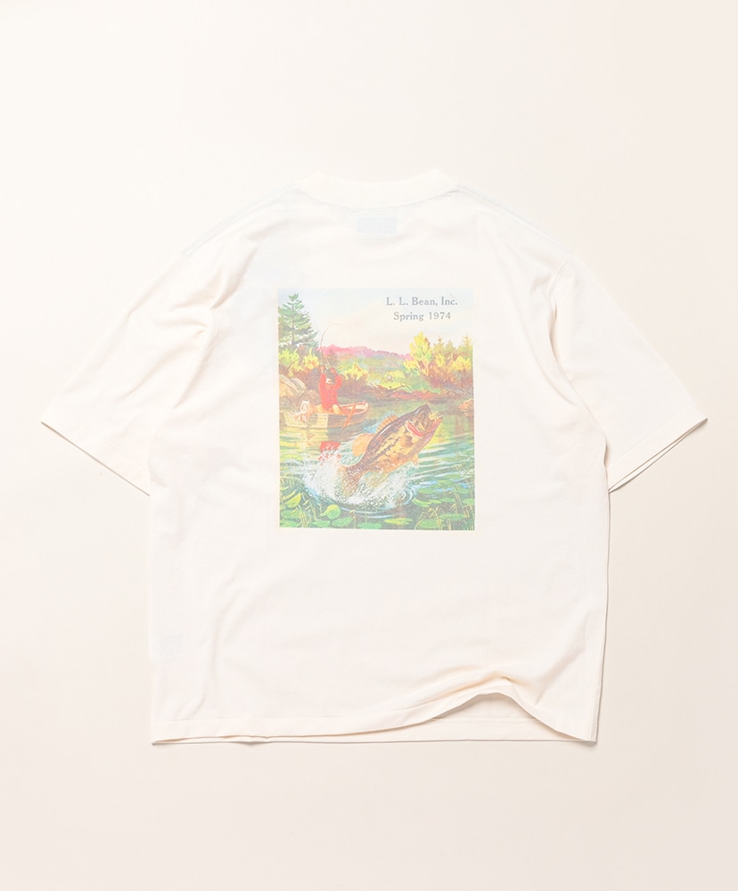 Ivory/アイボリー