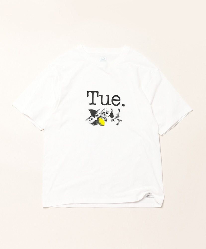 White/ホワイト