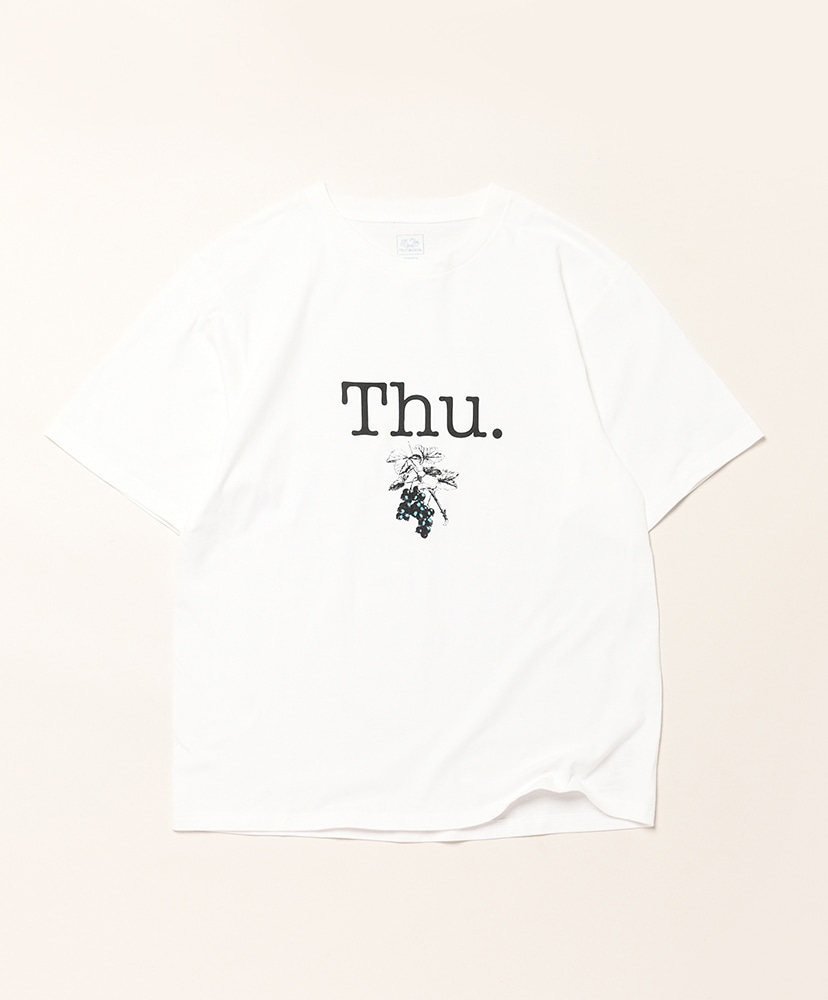 White/ホワイト