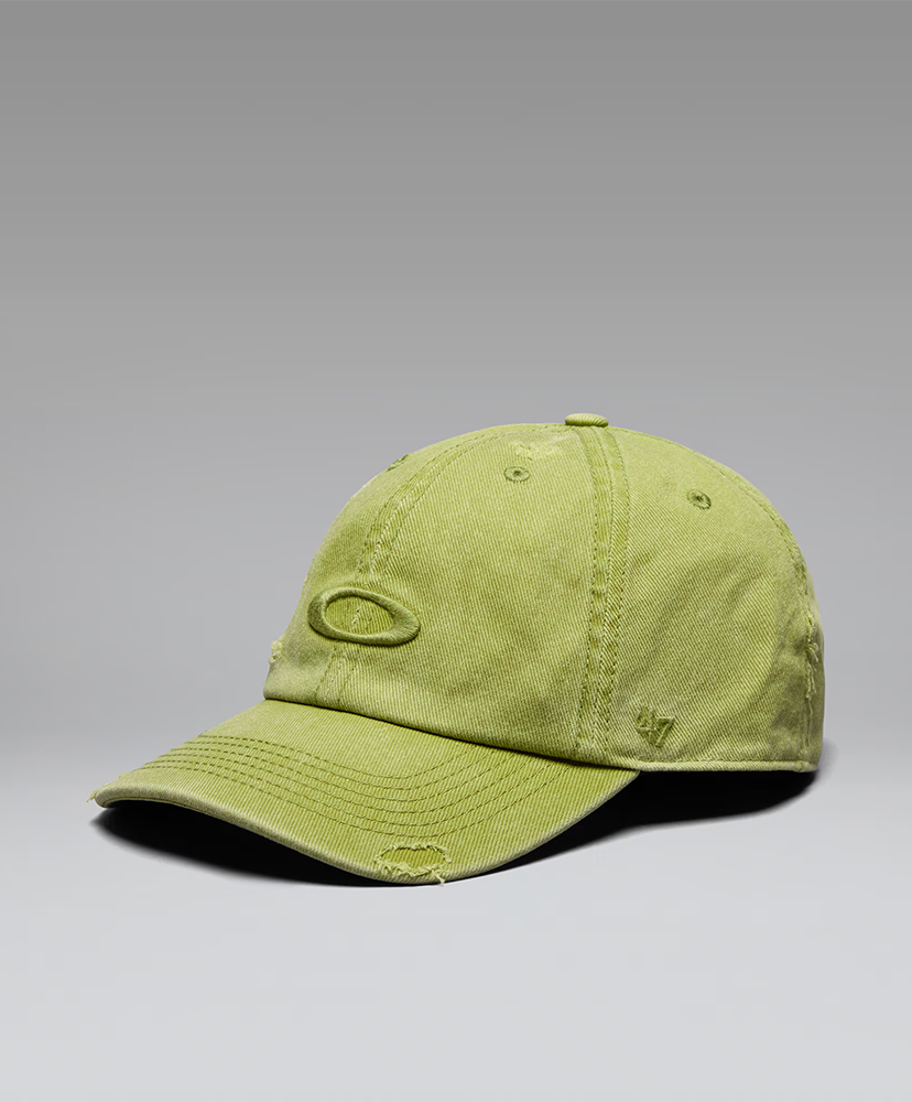 Cactus/カクタス