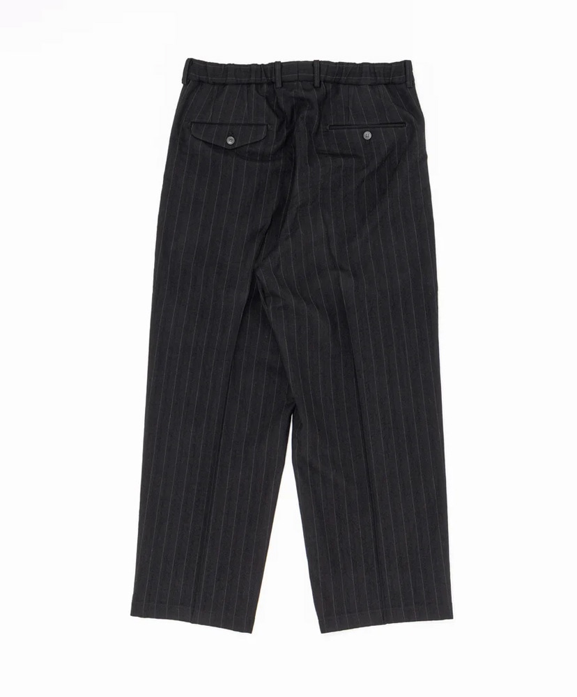 Double Pleated Trousers Black/ブラック M(MEN)