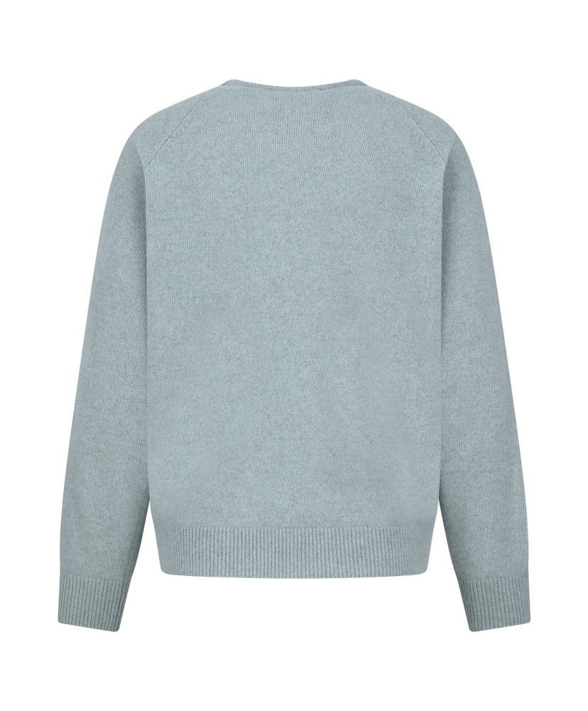 Racoon V-Neck Knit Mint/ミント S(MEN)