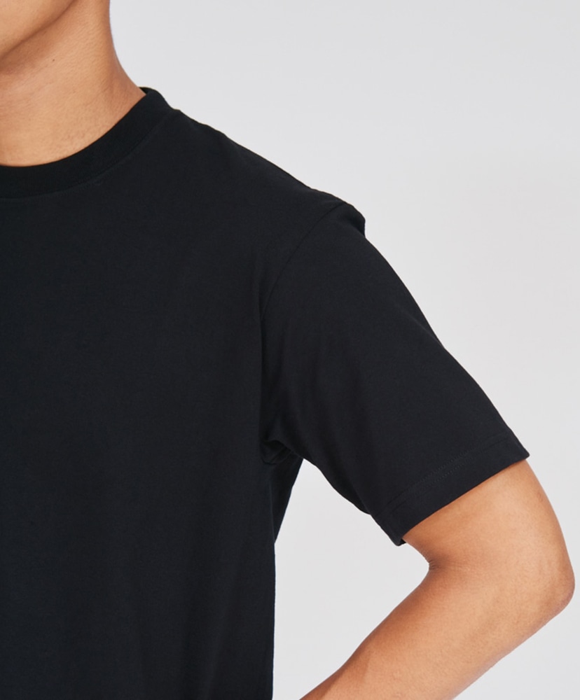 2P Beefy-T Crew Neck T Shirt Black/ブラック L(MEN)