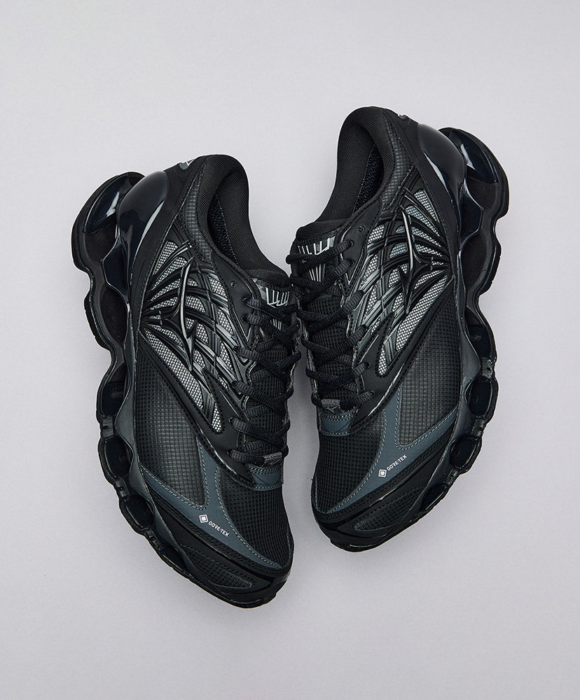 Wave Prophecy LS GTX Black/ブラック 26cm