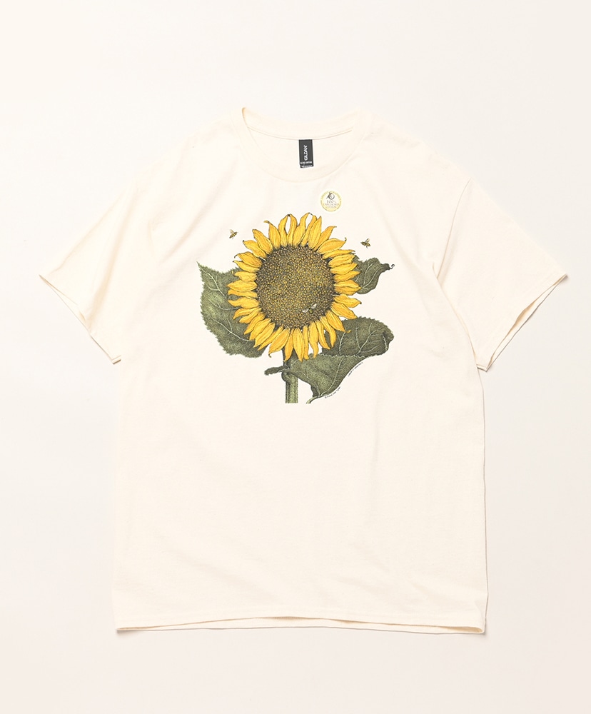 Natural/ナチュラル