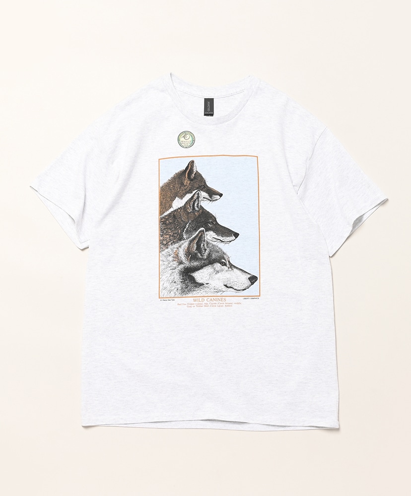 Ash/アッシュ