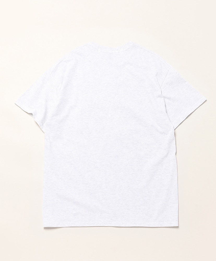 Field Guide To Raptors Ash/アッシュ L(MEN)
