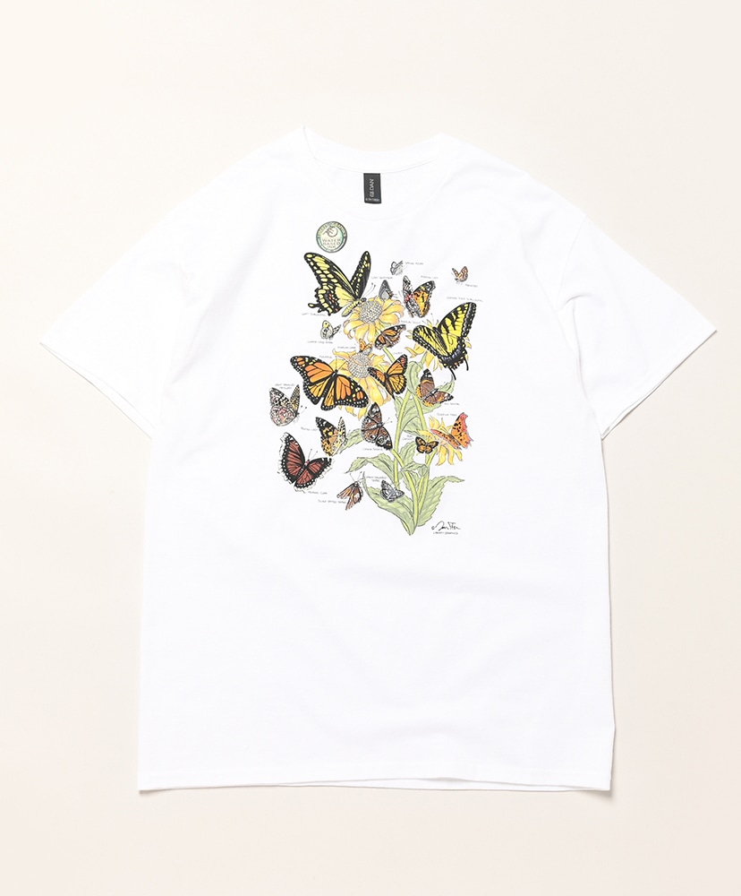 White/ホワイト