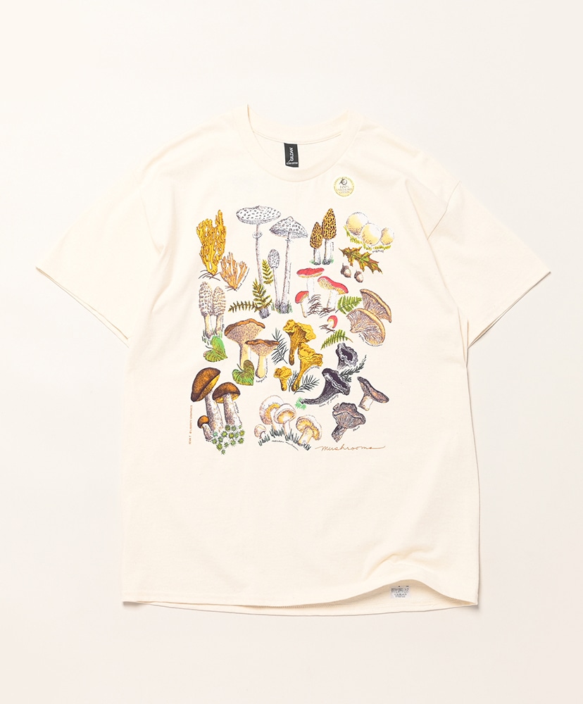 Natural/ナチュラル