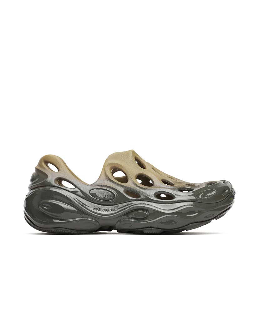 Teak×Beluga/チーク×ベルーガ