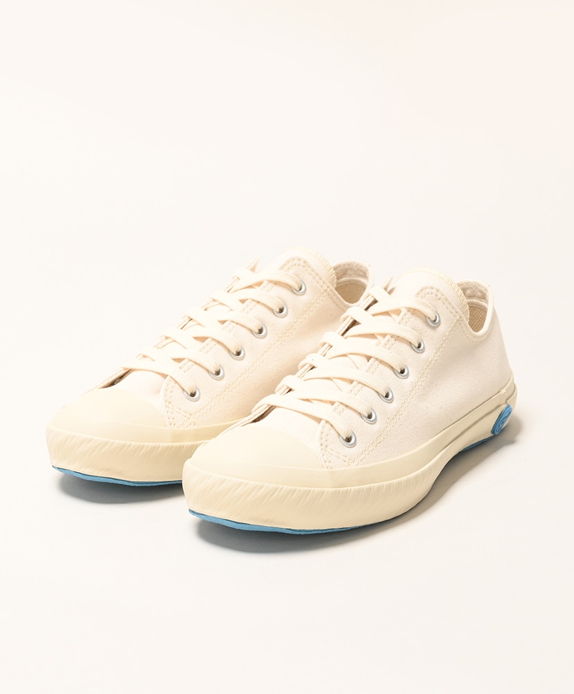 White/ホワイト
