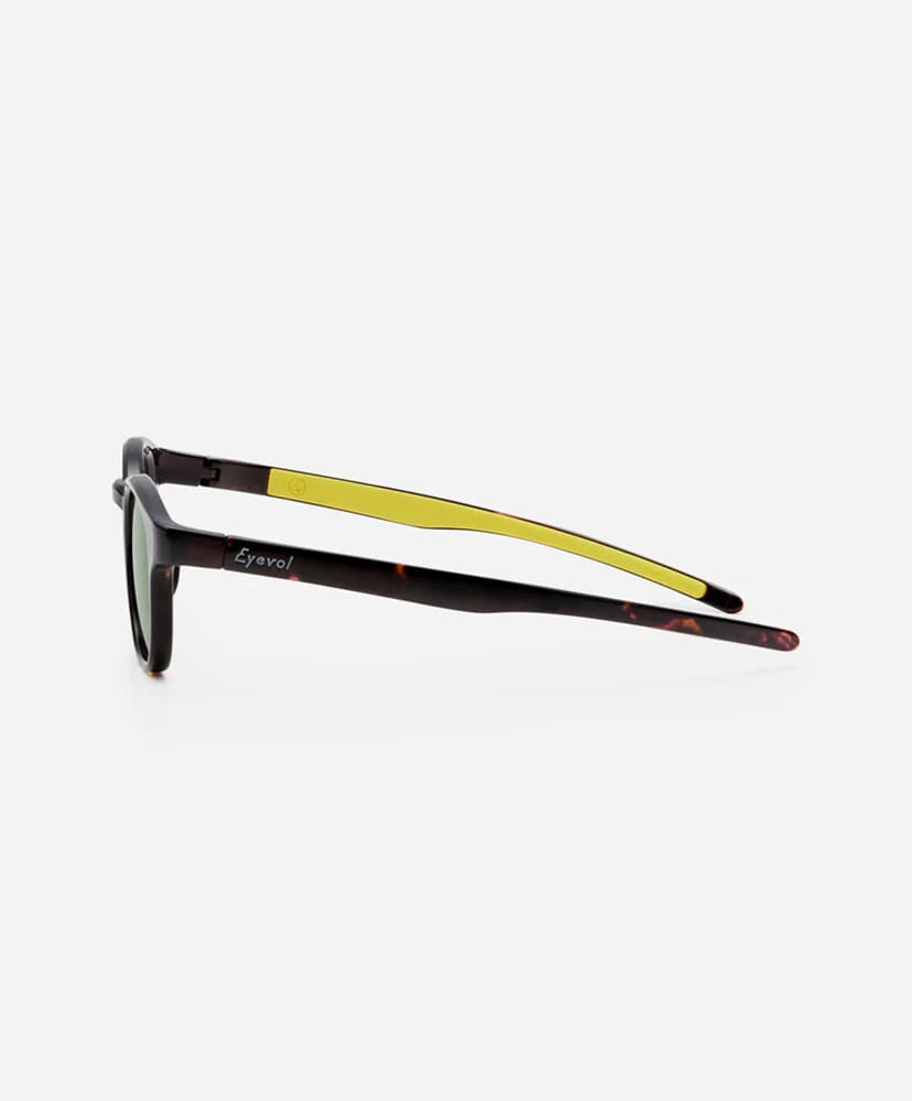 SCHERMER (50) DM-LY-MGN2PL-MGR DM-LY-MGN2PL-MGR ONE