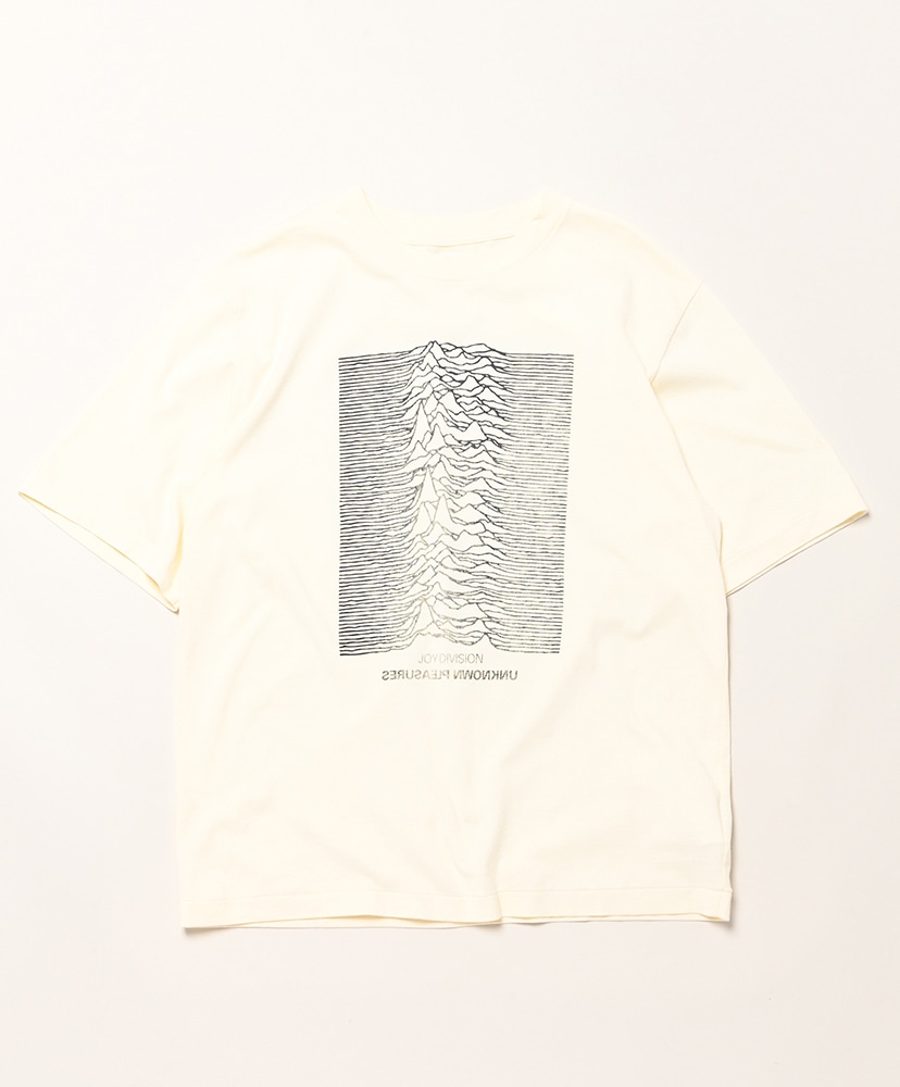 Ivory/アイボリー