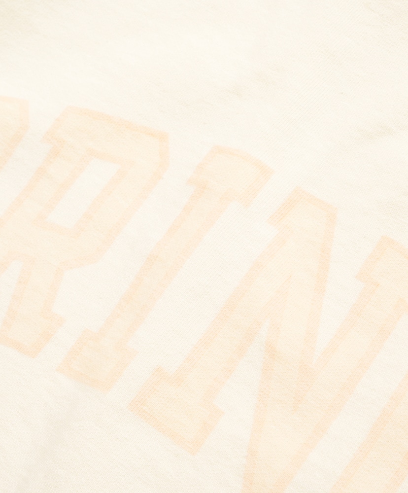 NOT-PRINCE 88/12 Print Tee WIDE Ivory×Fade/Bage-PT 2(MEN)