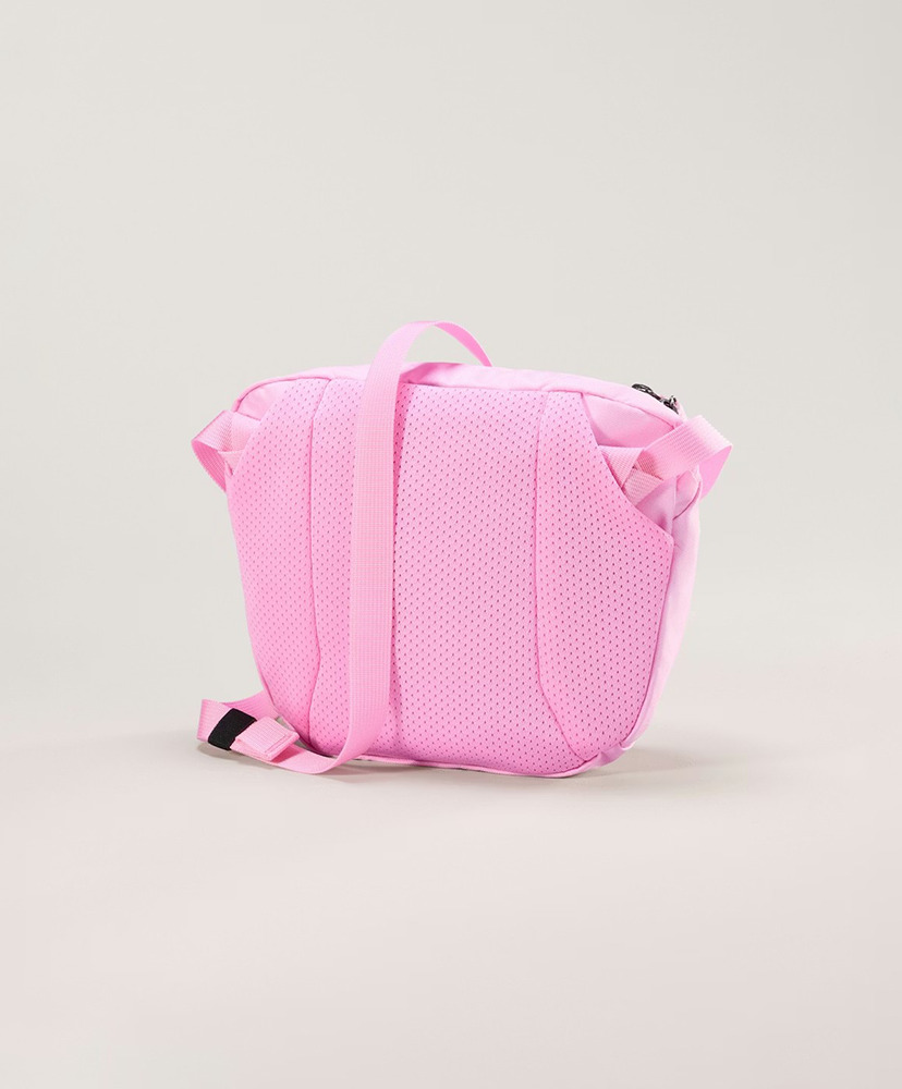 Mantis 2 Waist Pack Pineberry/パインベリー NA