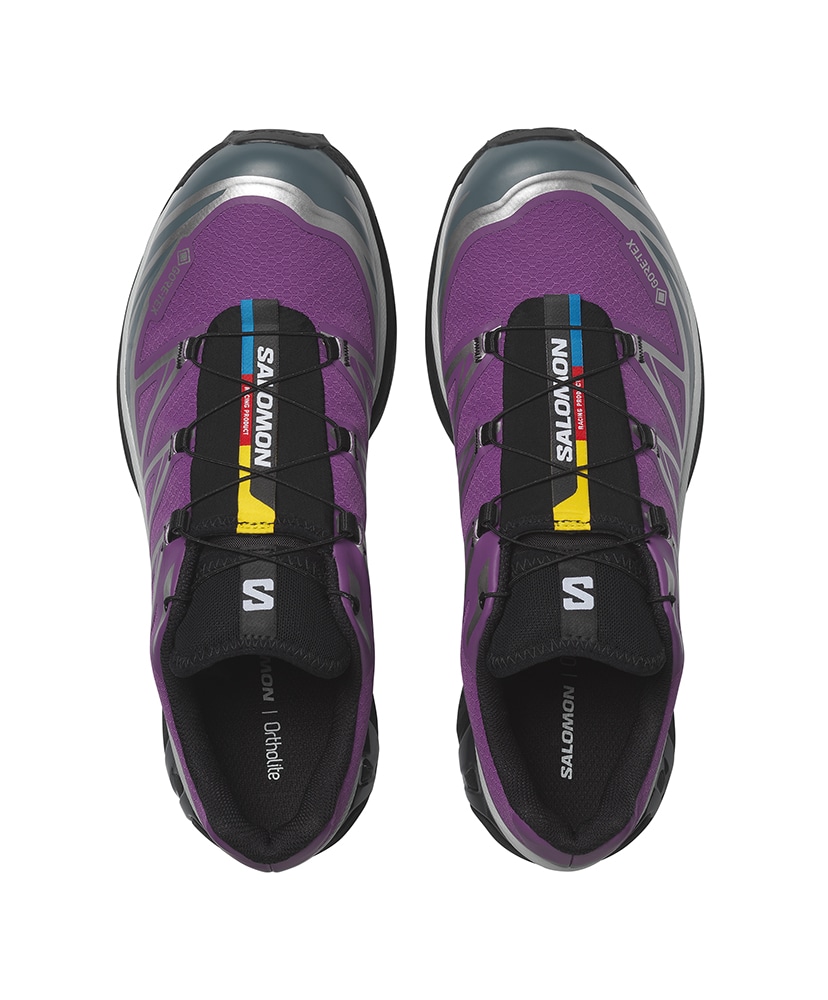 XT-6 GTX Concord Grape×Stormy Weather×FTW Silver 23cm