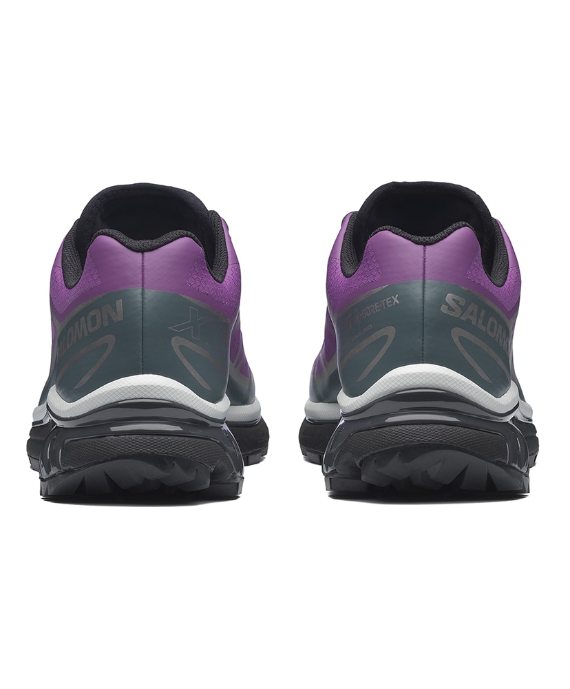 XT-6 GTX Concord Grape×Stormy Weather×FTW Silver 23cm