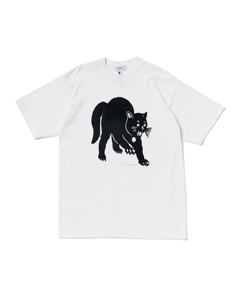 White/ホワイト