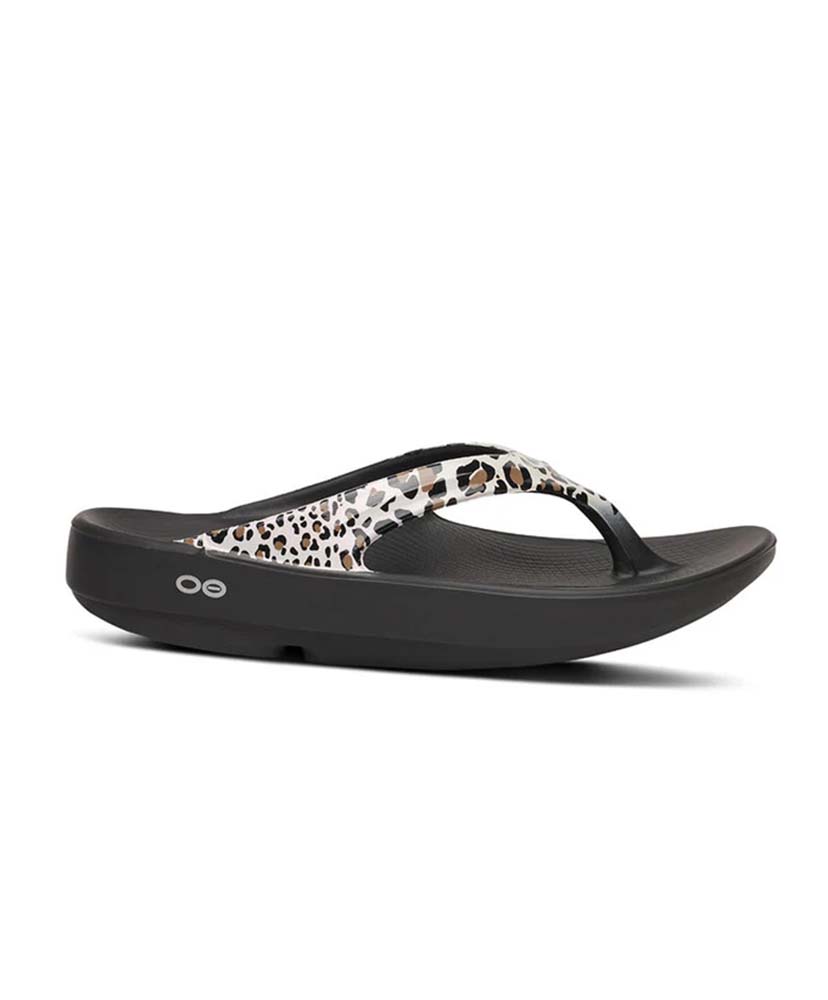 OOlala Limited Moonstone/ムーンストーン M4(WOMEN)